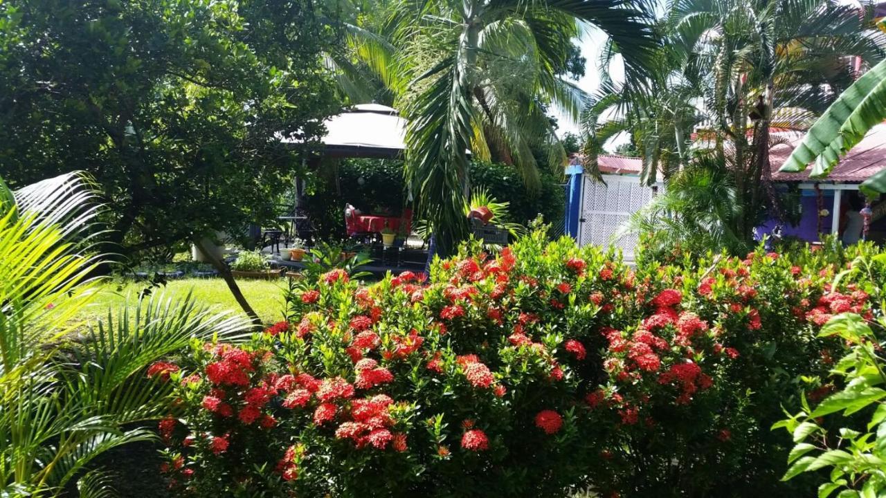 San Andrés Posada Nativa Licy מראה חיצוני תמונה